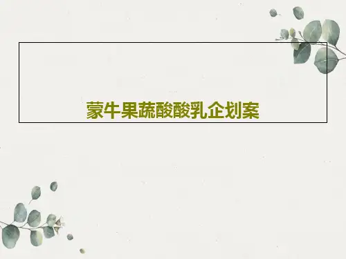 蒙牛果蔬酸酸乳企划案38页PPT