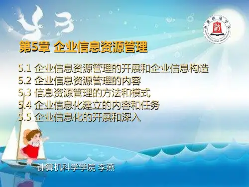 企业信息资源管理(1)幻灯片PPT