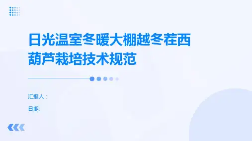 日光温室冬暖大棚越冬茬西葫芦栽培技术规范