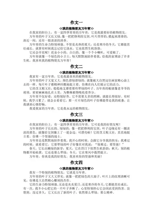 我的植物朋友万年青300字作文三年级下册