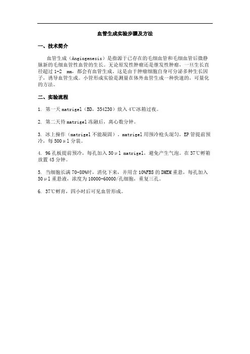 血管生成实验步骤及方法 