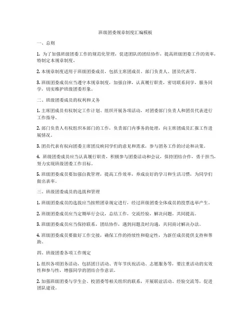班级团委规章制度汇编模板