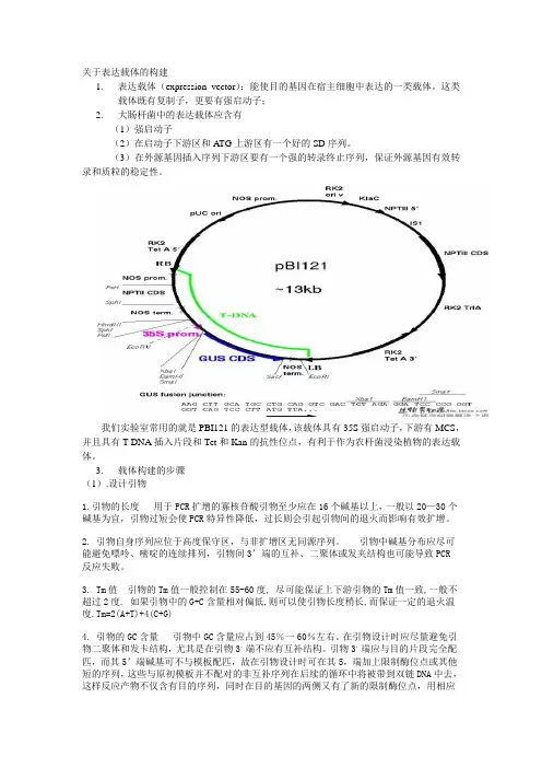 表达载体的构建