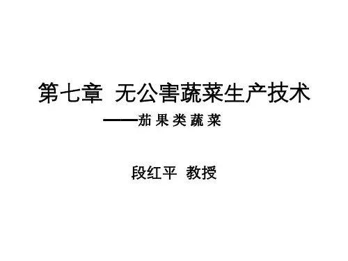 无公害蔬菜生产技术培训课件(PPT 109页)