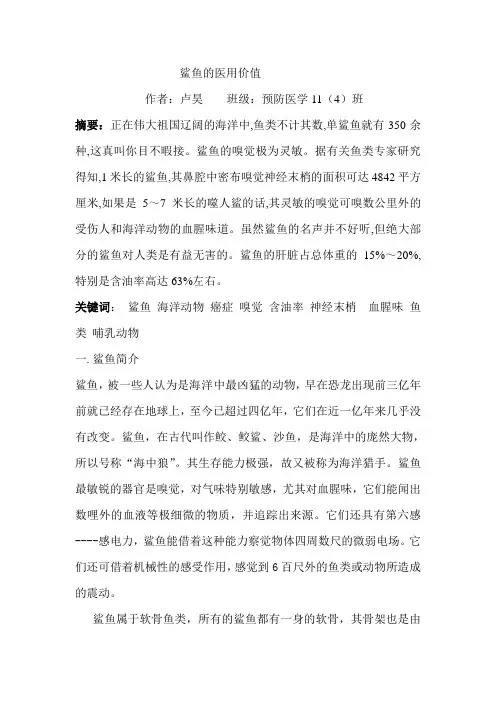 鲨鱼的医用价值
