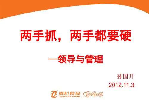 两手抓,两手都要硬