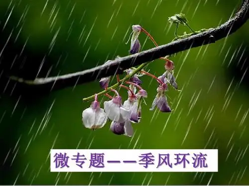 微专题——季风环流(共15张PPT)
