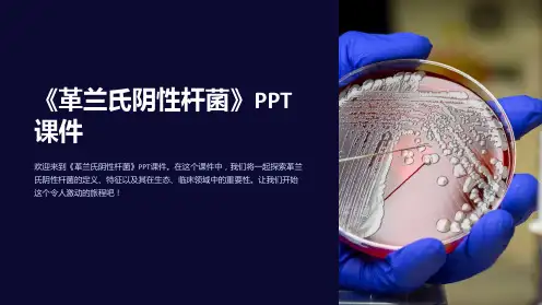 《革兰氏阴性杆菌》课件