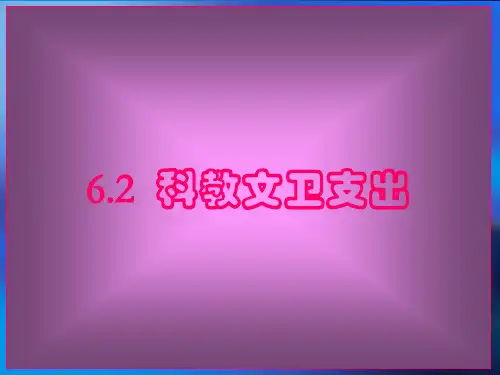 政治经济学之科教文卫支出(精品PPT课件共40页)