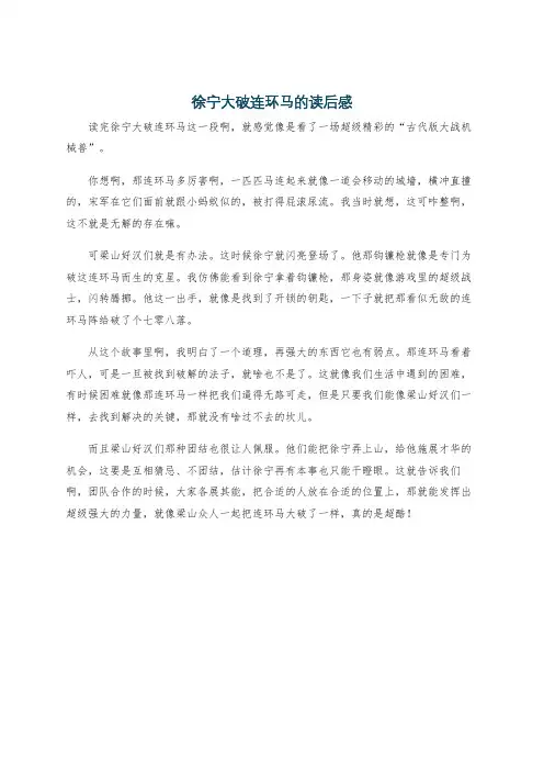 徐宁大破连环马的读后感