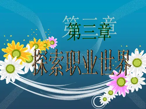 探索职业世界(讲课)