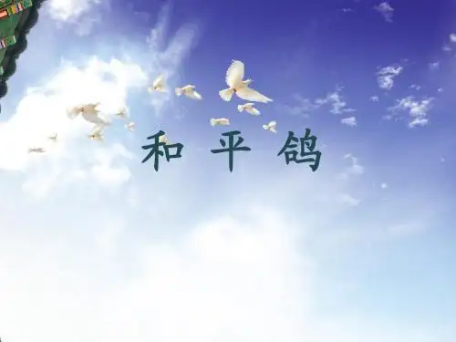 《和平鸽》课件