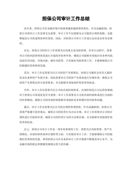担保公司审计工作总结