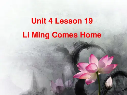 Unit 4 Lesson 19 Li Ming Comes Home 课件