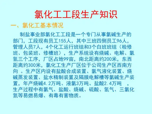 氯化工生产工艺