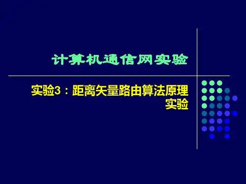 距离矢量路由算法原理实验教案