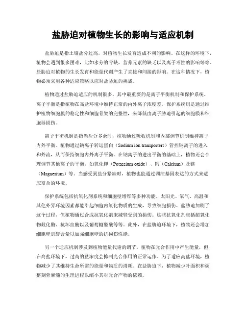 盐胁迫对植物生长的影响与适应机制