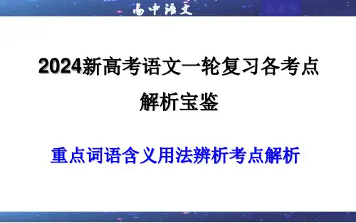 2024年新高考语文一轮复习+重点词语含义用法辨析考点解析(课件)