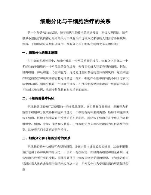 细胞分化与干细胞治疗的关系