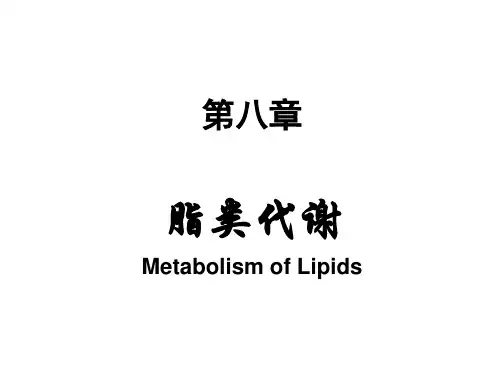 8脂类代谢