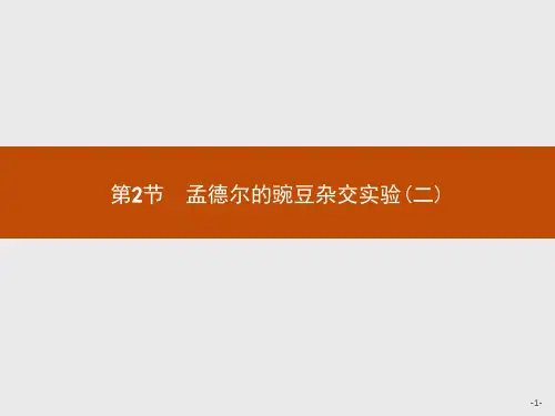 人教版高中生物学必修2精品课件 第1章 第2节 孟德尔的豌豆杂交实验(二)