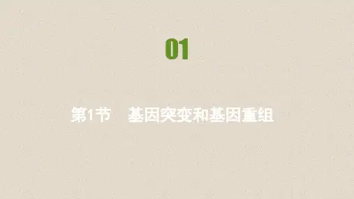 高中生物人教版(2019)必修2练习第5章第1节基因突变和基因重组