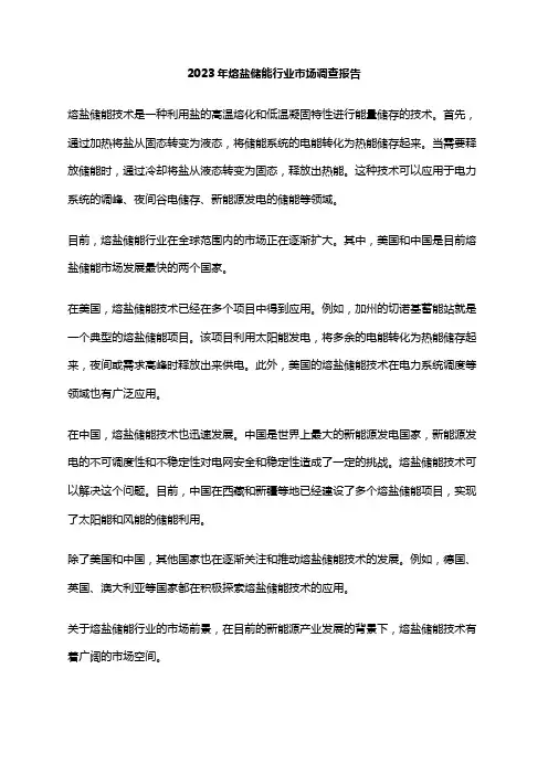 2023年熔盐储能行业市场调查报告