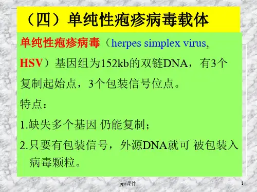 基因治疗ppt课件