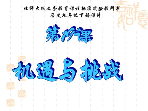 北师大版历史九年级下册第19课机遇与挑战课件(2)