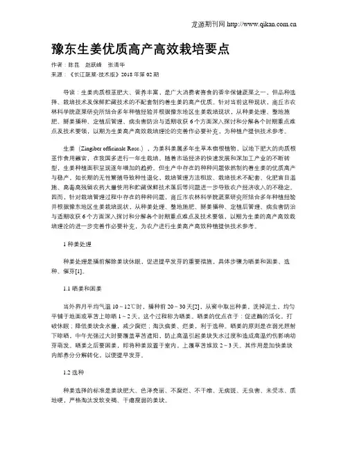豫东生姜优质高产高效栽培要点