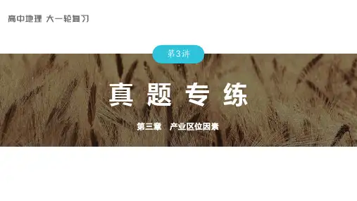 2024届高考一轮复习地理课件(新教材人教版)人文地理  第三章 第3讲 真题专练 (1)