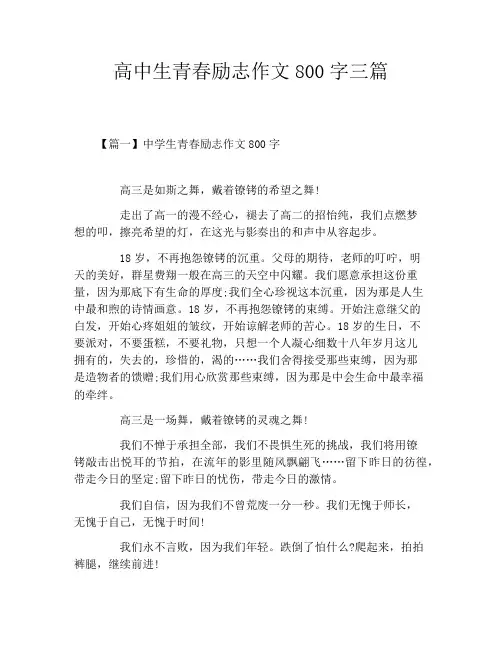 高中生青春励志作文800字三篇