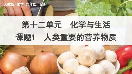 《人类重要的营养物质》PPT课件