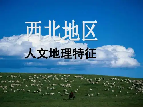中国西北地区(人文地理特征)