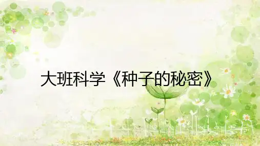 《种子的秘密》课件PPT