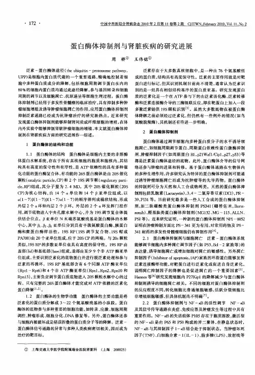 蛋白酶体抑制剂与肾脏疾病的研究进展