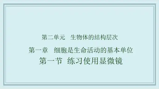 梅江区六月上旬七年级生物上册2.1.1练习使用显微镜课件新版新人教版3