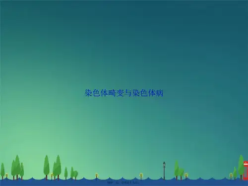 染色体畸变与染色体病讲课文档