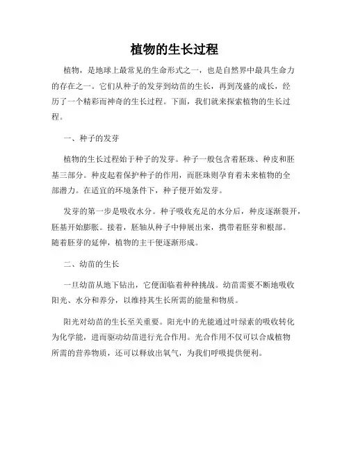 植物的生长过程