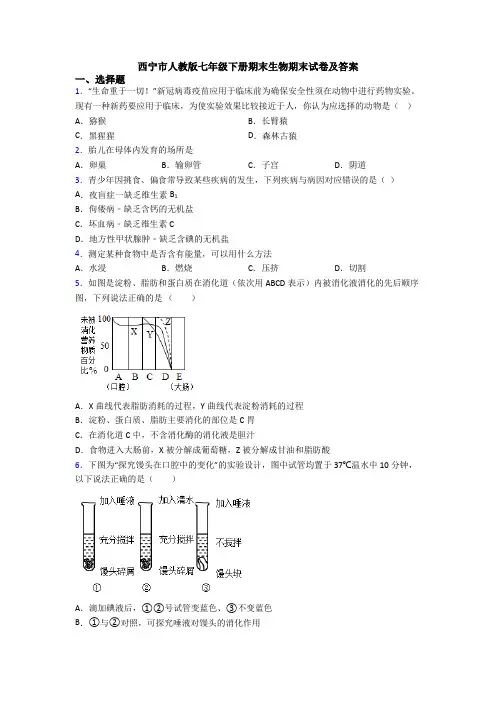 西宁市人教版七年级下册期末生物期末试卷及答案