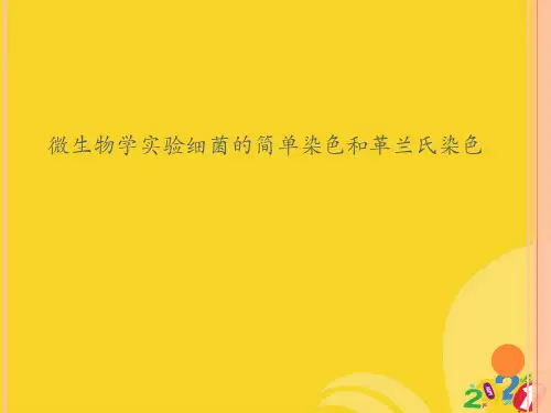 微生物学实验细菌的简单染色和革兰氏染色2021推选