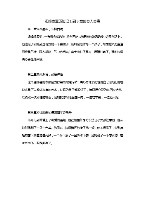 汤姆索亚历险记1到3章的奇人奇事