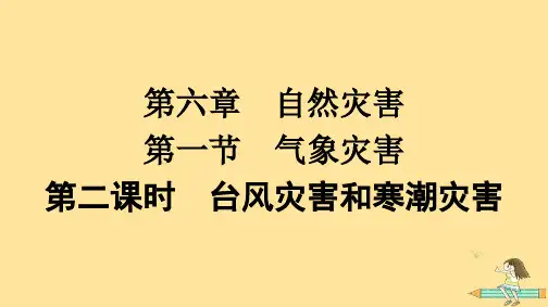 高中地理第6章自然灾害第1节气象灾害第2课时台风灾害和寒潮灾害课件新人教版必修第一册