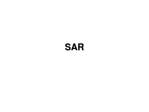 sar的介绍和测试