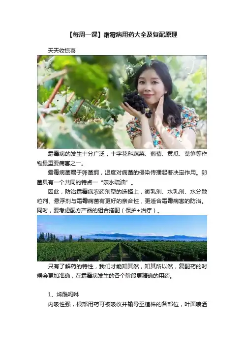 【每周一课】霜霉病用药大全及复配原理