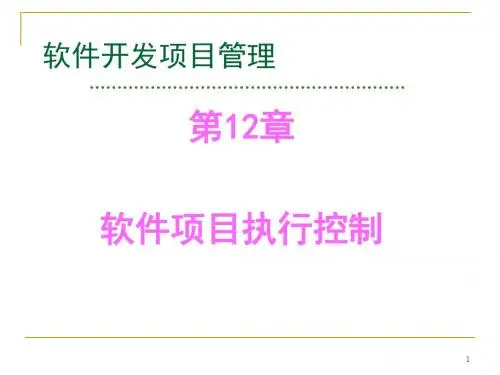 14-软件项目执行控制