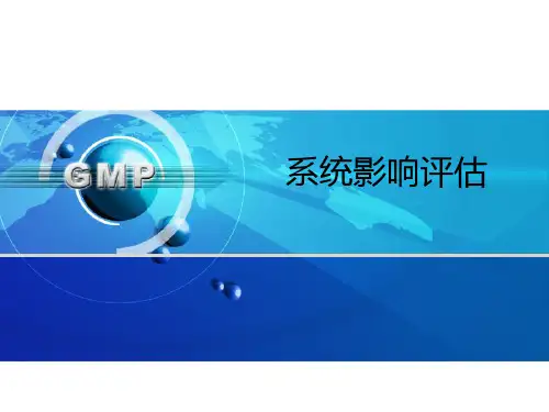 系统性风险评估(PPT)