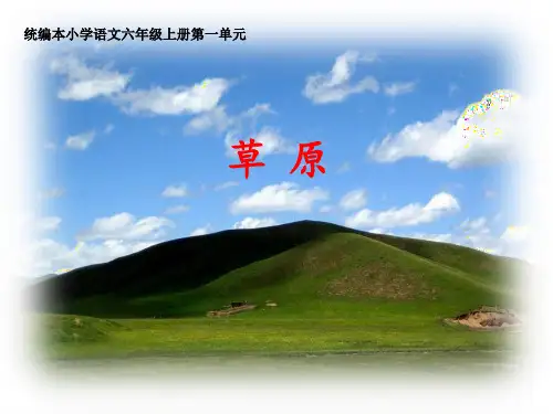 《草原》课件(共41张PPT)