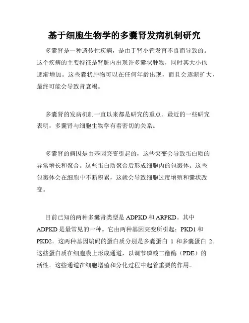 基于细胞生物学的多囊肾发病机制研究