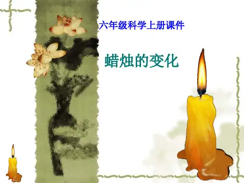 六年级上册科学课件蜡烛的变化-苏教版(共11张PPT)